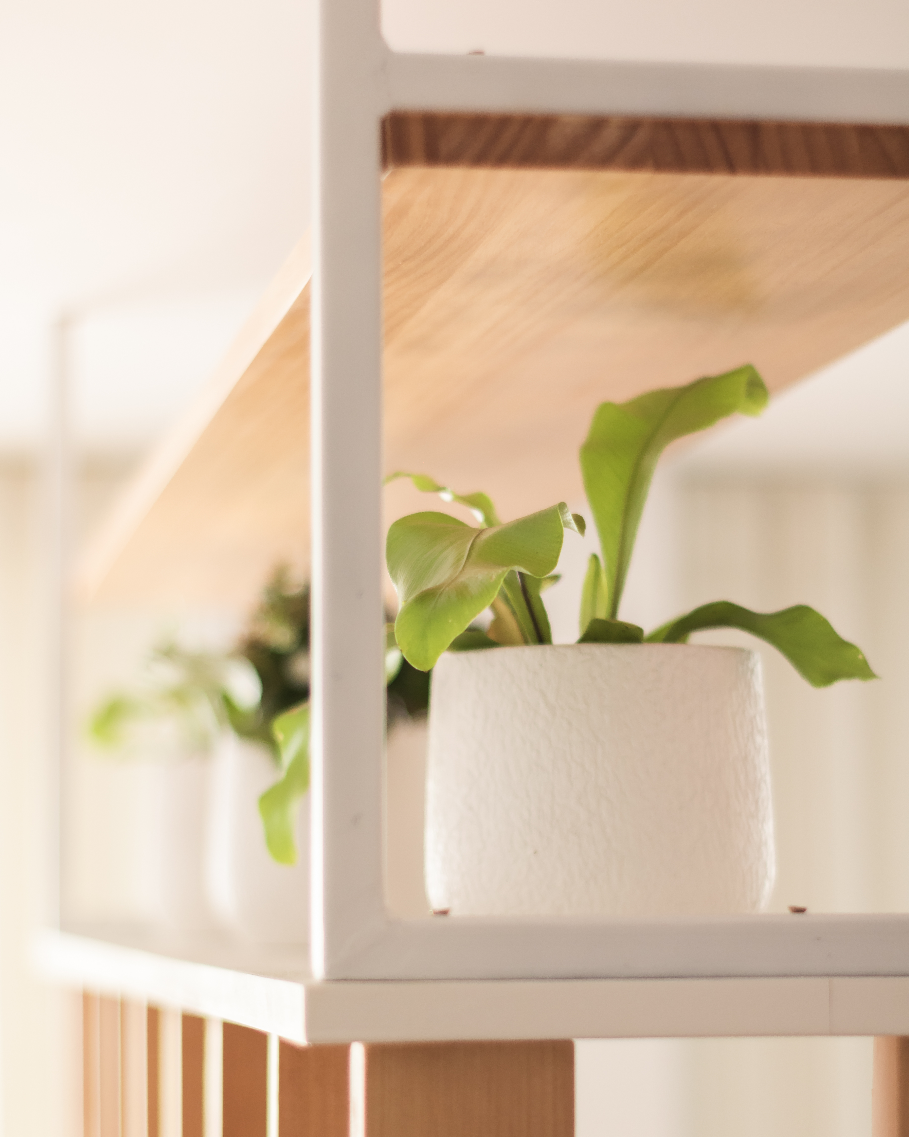 Detalle divisor · Piso Creme